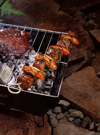 Portable burner grills